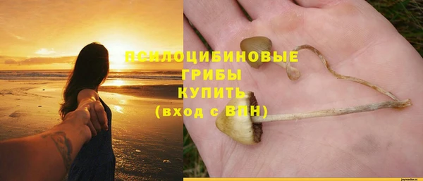 стаф Верхний Тагил